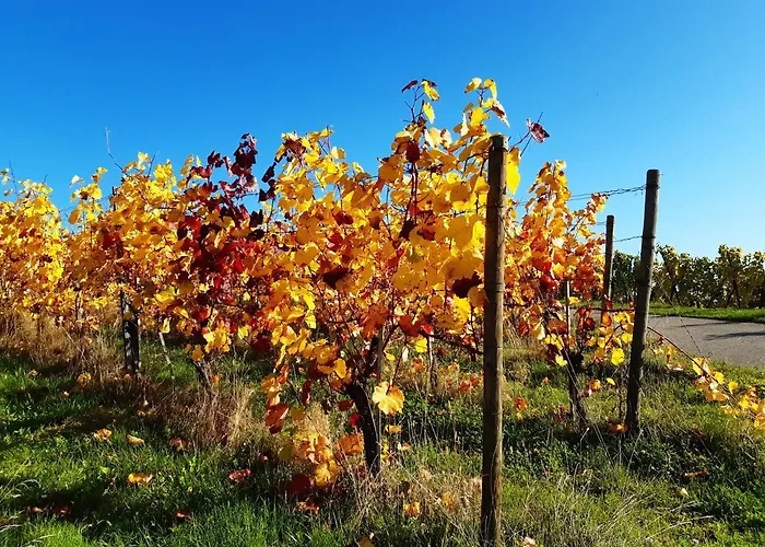 Hotel Remstal Weinstadt