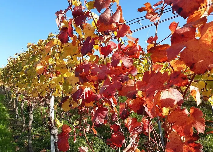 Remstal 3* Weinstadt